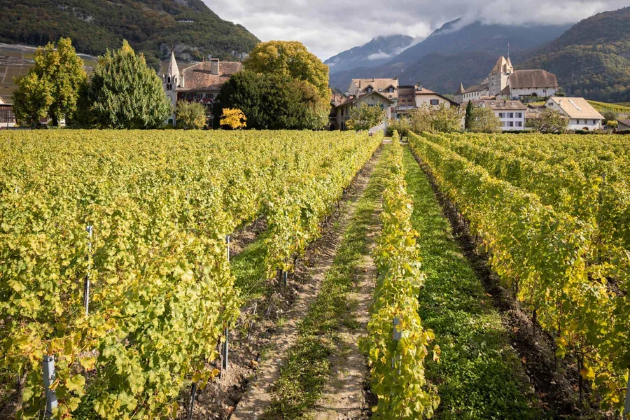 Impression Propriété Veillon