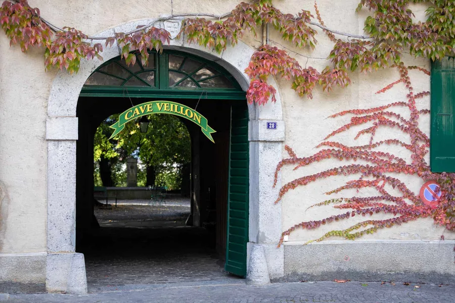 Impression Propriété Veillon